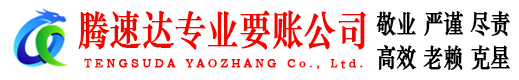 金寨清债公司